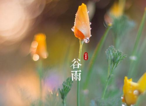 春季的节气