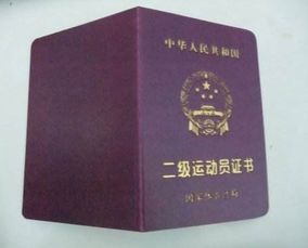 二级运动员标准成绩，二级运动员标准男子