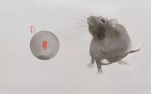 鼠和马相冲吗子女，鼠和马相冲是什么意思