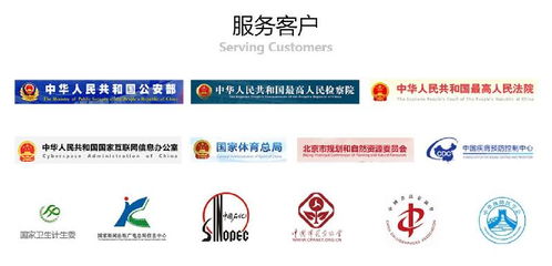 网络投票怎么刷投票，网络刷票是不是犯罪行为