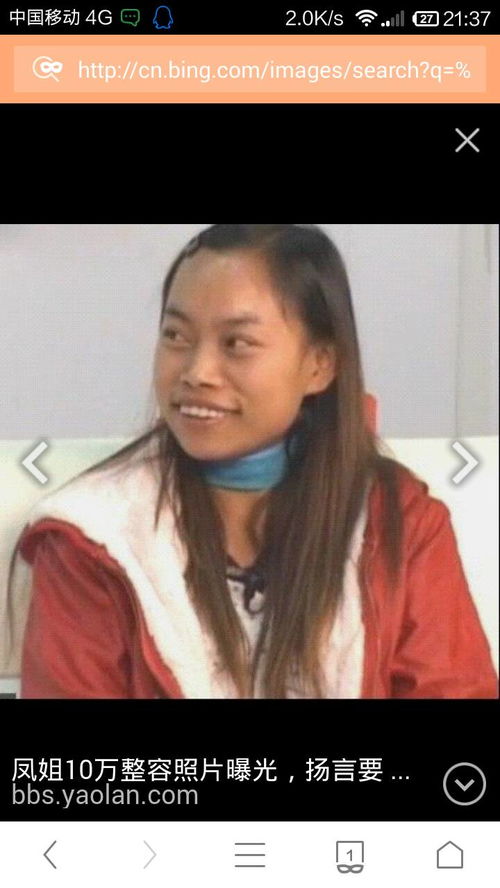 凤姐是谁