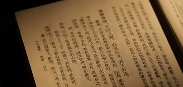 以关雎的格式仿写这首诗