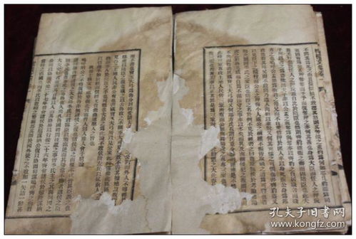辛已年是指哪一年?
