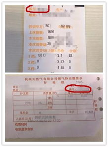 燃气费户号怎么查