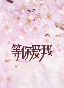 等你爱我歌词作者，等你爱我歌词大意