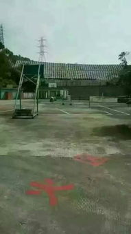 观澜大水坑属于哪个街道，观澜大水坑属于哪个派出所