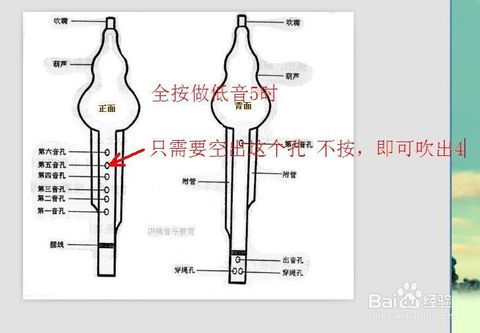 葫芦丝怎么吹不响了，葫芦丝怎么吹吐音