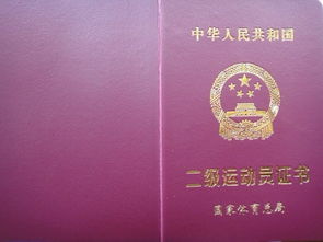二级运动员标准是什么?