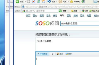 nice什么意思