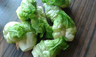 娃娃菜的功效与作用，娃娃菜图片