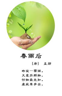 春雨贵如油,润物细无声全诗内容是什么?