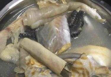 鲨鱼肚图片大全，鲨鱼肚什么人不能吃