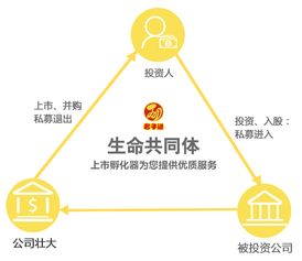 股权指的是什么
