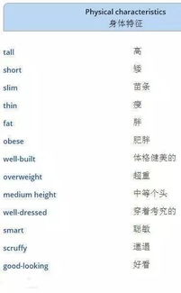 “外貌”的英文是什么?