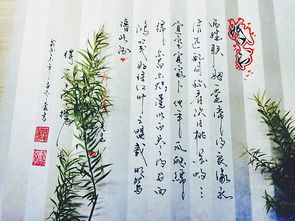 两姓联姻一堂缔约，两姓联姻一堂缔约原文翻译