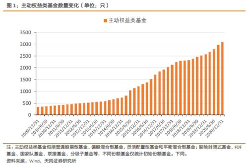 什么是股票型基金?