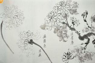 自选临摹的意思，临摹的意思和拼音