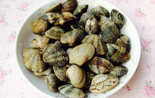 沙甲和花甲有什么区别呢，有沙花甲和无沙花甲的区别