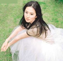 刘亦菲多大了结婚没，神雕侠侣刘亦菲多大