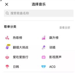 抖音歌曲排行榜2022最火歌曲