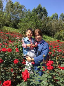 新都漫花庄园门票，新都漫花庄园婚宴价格