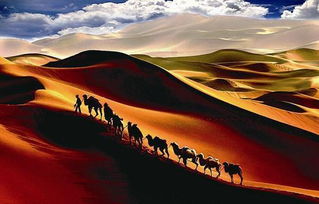 风尘苦旅是什么意思?