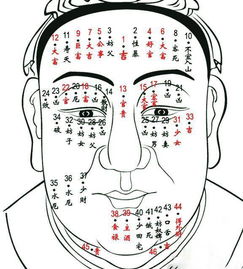 男人下巴有痣代表什么原因，男人下巴痣的位置与命运图解