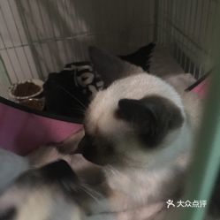 易小星监制的电影《了不起的夜晚》发“招商启事”,他还有哪些作品?_百度