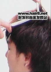 头发从发根断是怎么回事