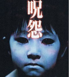 咒怨1剧情解析，咒怨1演员表