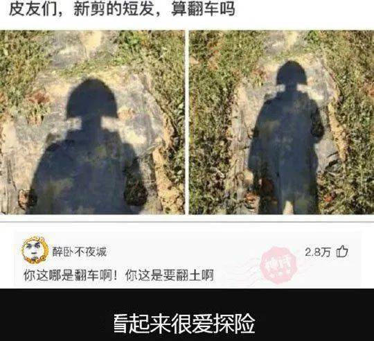 心有力而余不足下一句是什么?