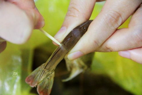 挑虾线的最佳方法 怎么快速挑虾线