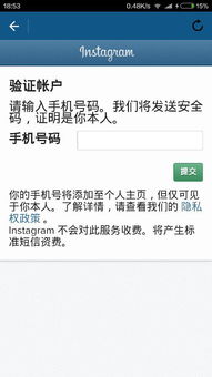 最近流行的“ins”是什么意思?