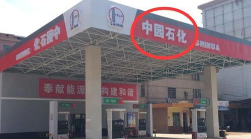谁能给我个天下网吧加油站的代理商号码?