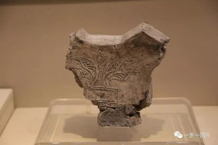 河姆渡文化在哪个流域，河姆渡文化特征