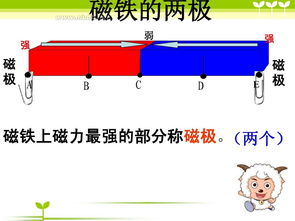 磁铁的两极教案，磁铁的两极相互接近会有怎样的相互作用
