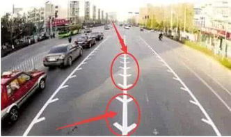导向车道线和可变导向车道线的区别是什么?