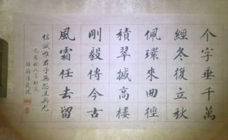 诗歌体裁有哪些?