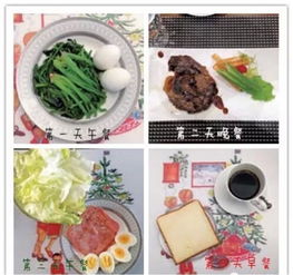 哥本哈根十三日减肥食谱，哥本哈根食谱7日复食餐