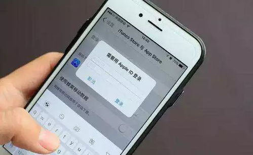 苹果id是什么格式的qq，光遇苹果id是什么