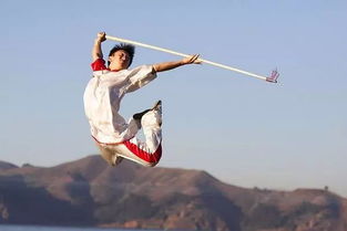武术是指什么