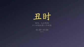 凌晨一点半是什么时辰猪女宝宝取名，下午一点到两点是什么时辰