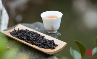 水帘洞肉桂是什么茶，水帘洞肉桂和马头岩肉桂哪个好