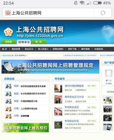 找工作去哪个网站?，去哪个网站找工作