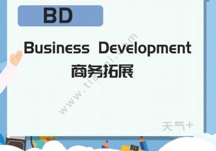 bd是什么的缩写，bd是什么公司