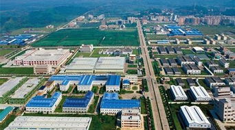 肇庆是在哪个省
