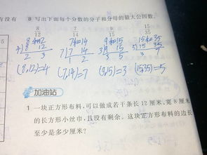 13的因数是什么