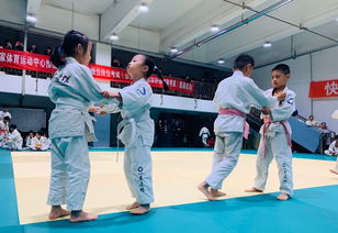 柔术级别 柔道柔术段位等级介绍