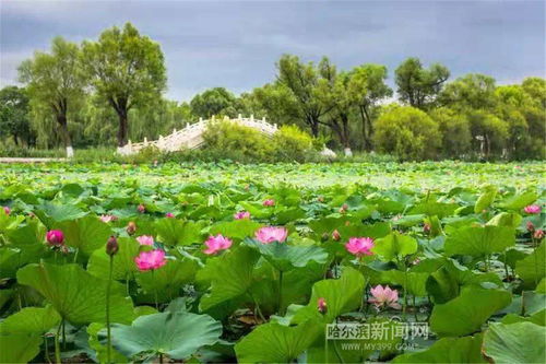 什么风送爽秋风送爽，什么风呼啸