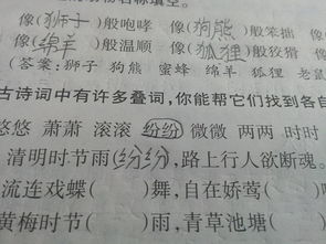 带有叠词的诗句小学，带有叠词的诗句四句